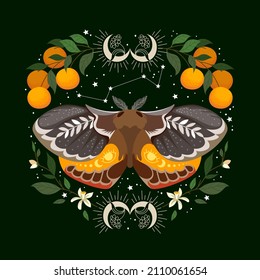 illustration of celestial moth at night with flower