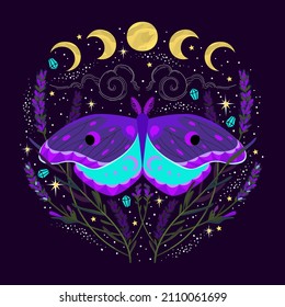 illustration of celestial moth at night with flower