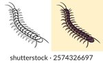 Illustration of a Centipede in Both Black and White and Colored Styles