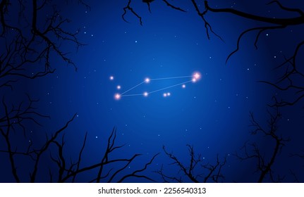 Illustration  of Chamaeleon constellation. Bright constellation in open space, blue sky. Starry sky behind tree silhouette