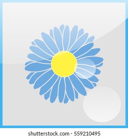 Illustration chamomile flowers.