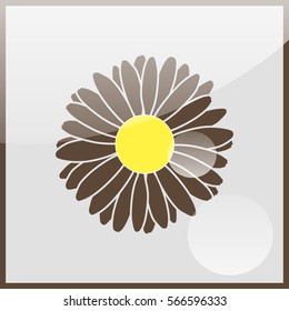 Illustration chamomile flowers.