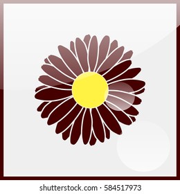 Illustration chamomile flowers.