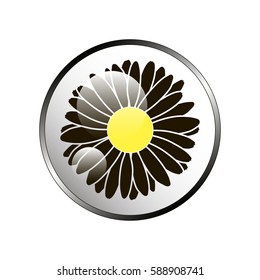 Illustration chamomile flowers.