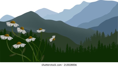 ilustración con flores de camomila en las montañas