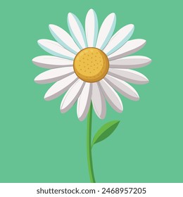 illustration of a chamomile on a green background executed in vector graphics