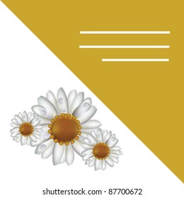 Illustration of chamomile prescription