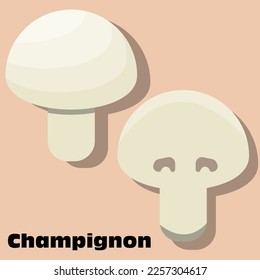 illustration of Champignon, slice of Champignon, white mushroom for teacher, student , college, banner, flyer, power point, and another comercial use