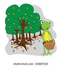 The illustration Character of frog Gardener.He work in orange garden.