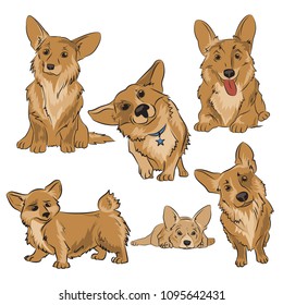 illustration of the characters of Pets. Figurines of dogs breed Corgi Pembroke. Sketch of dogs with short legs