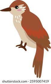 Illustration of a Charming Xenops