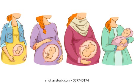 Illustration of a Chart Showing the Stages of Pregnancy