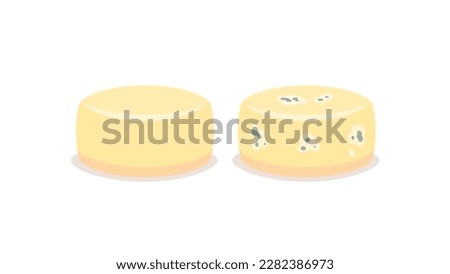 illustration of cheese. a cheese that is in good condition and a cheese that is not good or fit to eat. moldy and expired cheese. decay process. before and after. food. cartoon illustration design