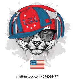 Illustration of cheetah in the glasses, headphones and in hip-hop hat with print of USA. Vector illustration.