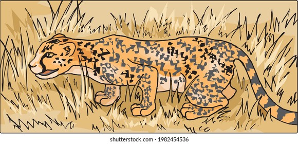 illustration of cheetah walking in grass