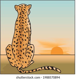 illustration of a cheetah watching sunset