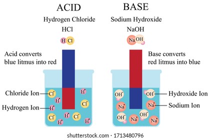 Illustration of chemical. Acid and base can be used litmus paper to figure out whether a chemical solution is acidic or basic. Vector diagram for scientific, educational, medical, and biological.