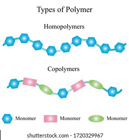 Illustration of chemical. Homopolymer and copolymer are that homopolymers are produced by using a single type of monomer, whereas copolymers are formed by using two different types of monomers.