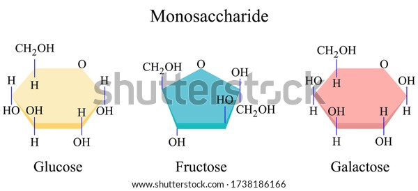 Illustration Chemical Monosaccharide Most Basic Form Stock Vector ...