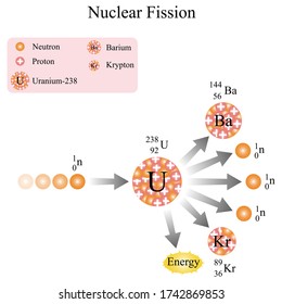 Illustration of chemical. Nuclear fission chain reaction of uranium-238, which splits into krypton, barium and three separate neutrons.