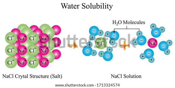 Illustration Chemical Water Solubility Sodium Chloride Stock Vector