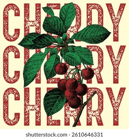 illustration of cherries and leaves, rendered in a pop art style, against a light background with the word "CHERRY" repeated in a grid pattern.