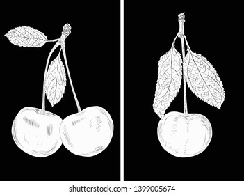 ilustración con bayas de cerezo sobre fondo negro