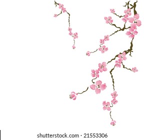 Illustration of cherry blossom