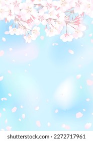 Illustration of cherry blossom branch and bright blue sky