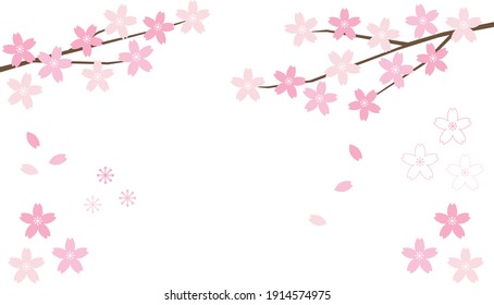 
Illustration of cherry blossom branches and falling cherry blossom petals