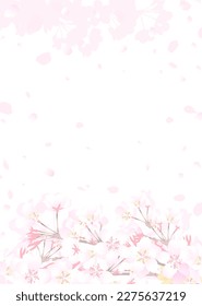 Illustration of cherry blossom branches and fluttering petals on a white background