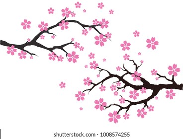 Cherry Blossom Background Sakura Flowers Pink Stock Vector (Royalty ...