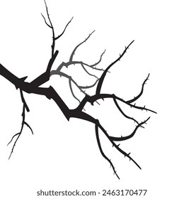 
illustration of a cherry blossom tree on a white background, Including illustrations of stems and branches, Japanese cherry blossoms.
