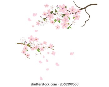 Ilustración del árbol de flores de cerezo en primavera