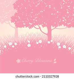 Illustration of cherry blossom trees