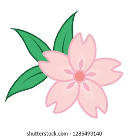 Illustration of the cherry blossoms