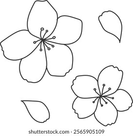 An illustration of a cherry blossoms with distinctive hand drawn lines