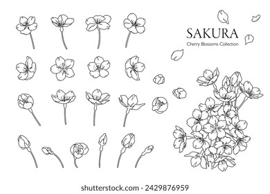 Illustration of cherry blossoms drawn with monochrome lines (divided into parts)