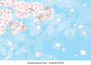 Illustration of cherry blossoms in full bloom, Background illustration of spring