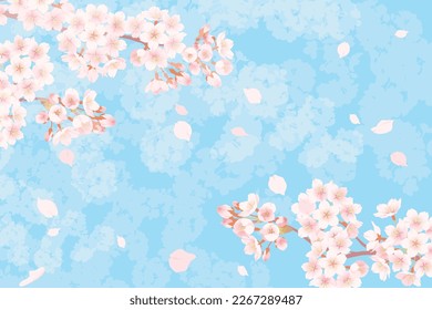 Illustration of cherry blossoms in full bloom, Background illustration of spring