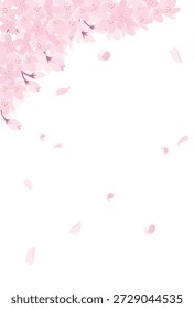 Ilustração de flores de cerejeira em plena floração