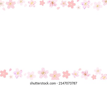 Illustration of cherry blossoms in Japanese pattern with upper and lower frames and text space