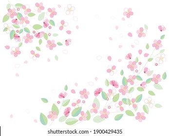 Ilustración de flores de cerezo sobre fondo blanco