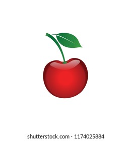 Illustration of cherry fruit element design template