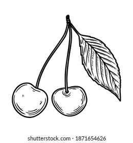 Illustration of cherry fruit in engraving style. Design element for poster, card, banner, sign. Vector illustration