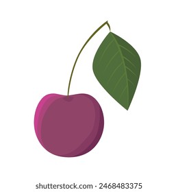 Illustration of a cherry on a stem with a leaf.
