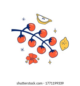Ilustración de una rama de tomate de cerezo.