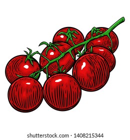 Illustration of cherry tomatoes isolated on white. Design element for poster, card, banner, flyer, menu. Vector illustration