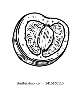 Illustration of cherry tomatoes isolated on white. Design element for poster, card, banner, flyer, menu. Vector illustration