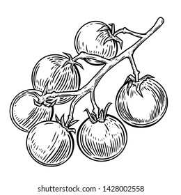 Illustration of cherry tomatoes isolated on white. Design element for poster, card, banner, flyer, menu. Vector illustration